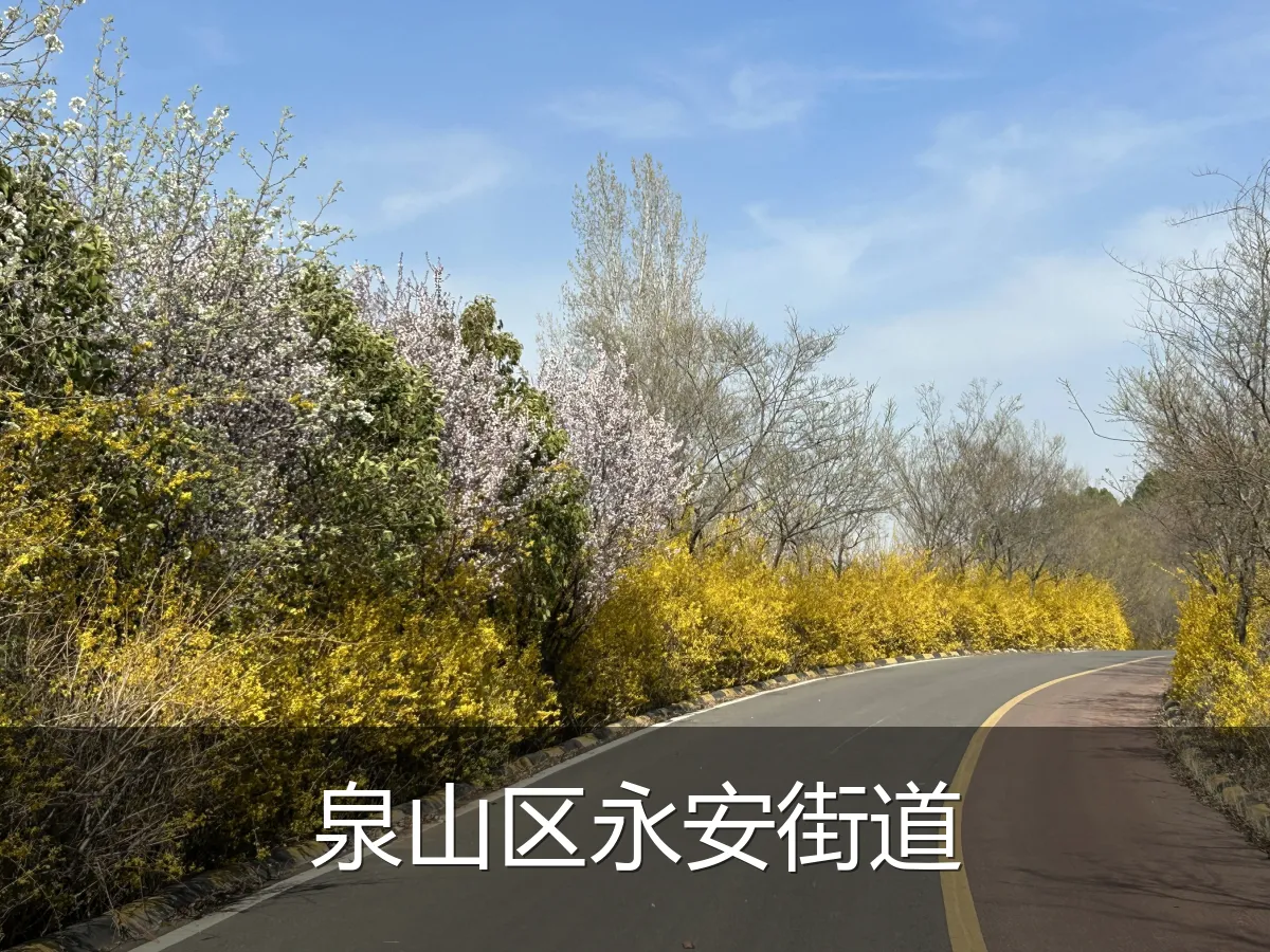 泉山区永安街道